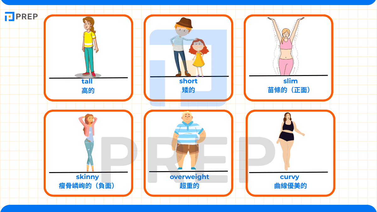 英文外貌描述詞彙 - 身高與體型