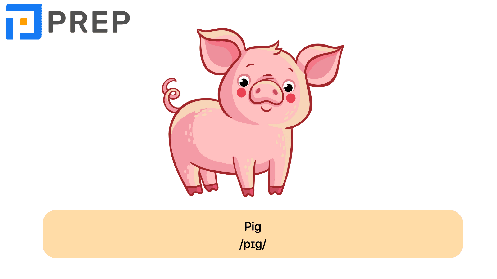 Pig