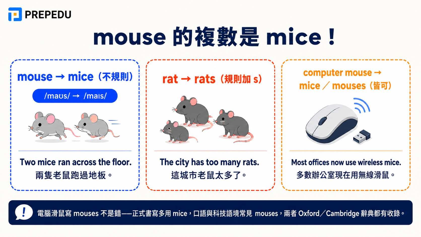 plural-of-mouse-is-mice.jpg