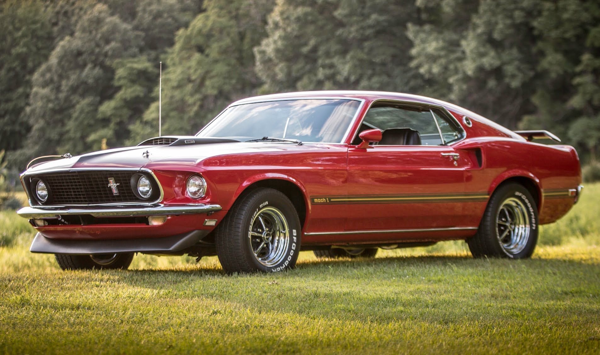 Pony-car