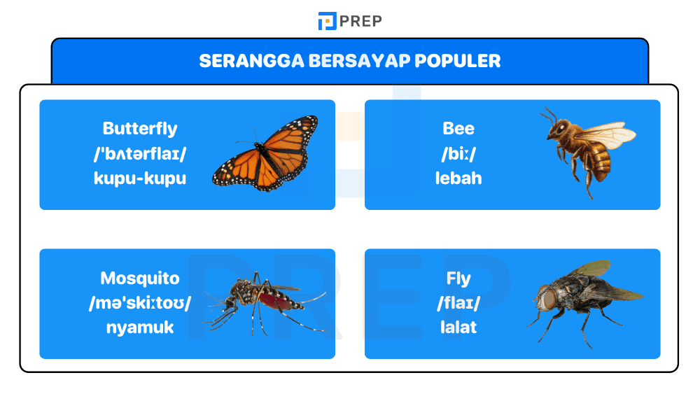 Daftar Ekstensif Serangga Bersayap Populer
