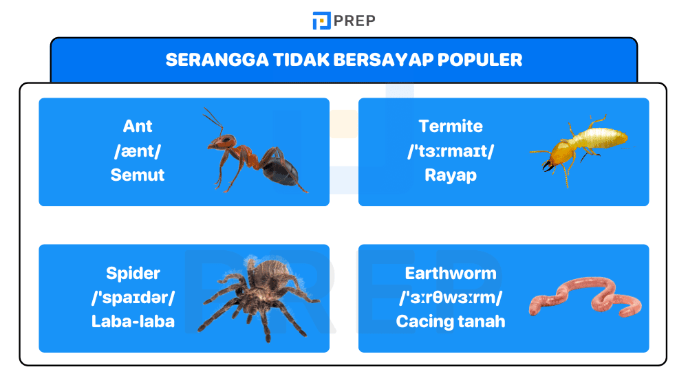 Serangga Tidak Bersayap Populer