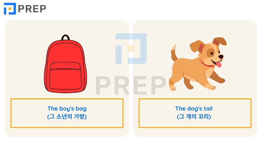 영문법 소유격 완벽 정리: 대명사 표부터 명사 's 규칙, 이중 소유격까지 총망라
