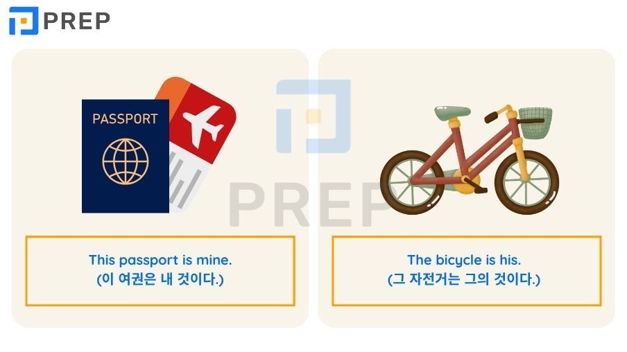 영어 소유격 대명사의 체계적 학습: 정의, 올바른 용법 및 실전 연습