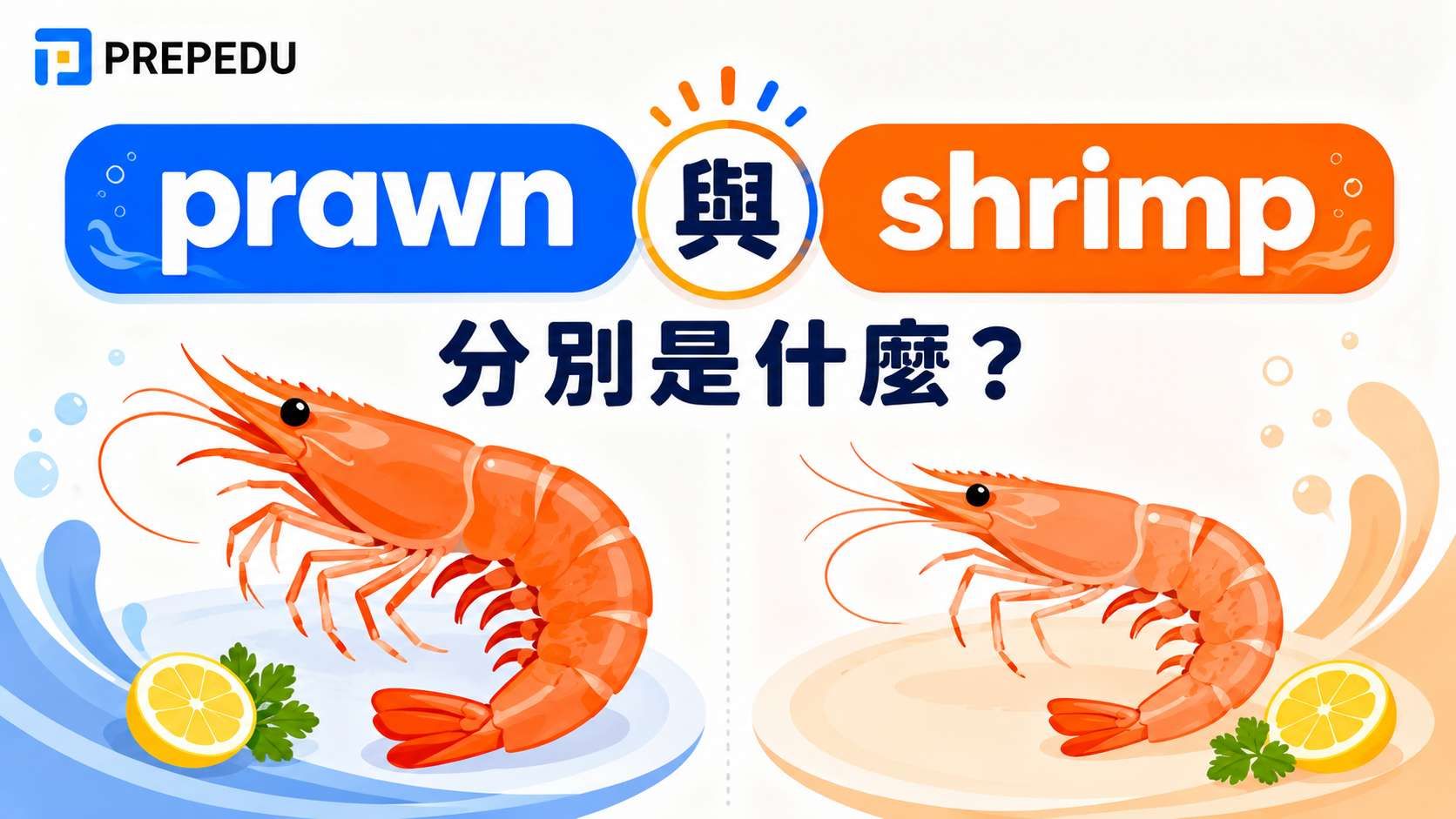 prawn 和 shrimp 差別是什麼？
