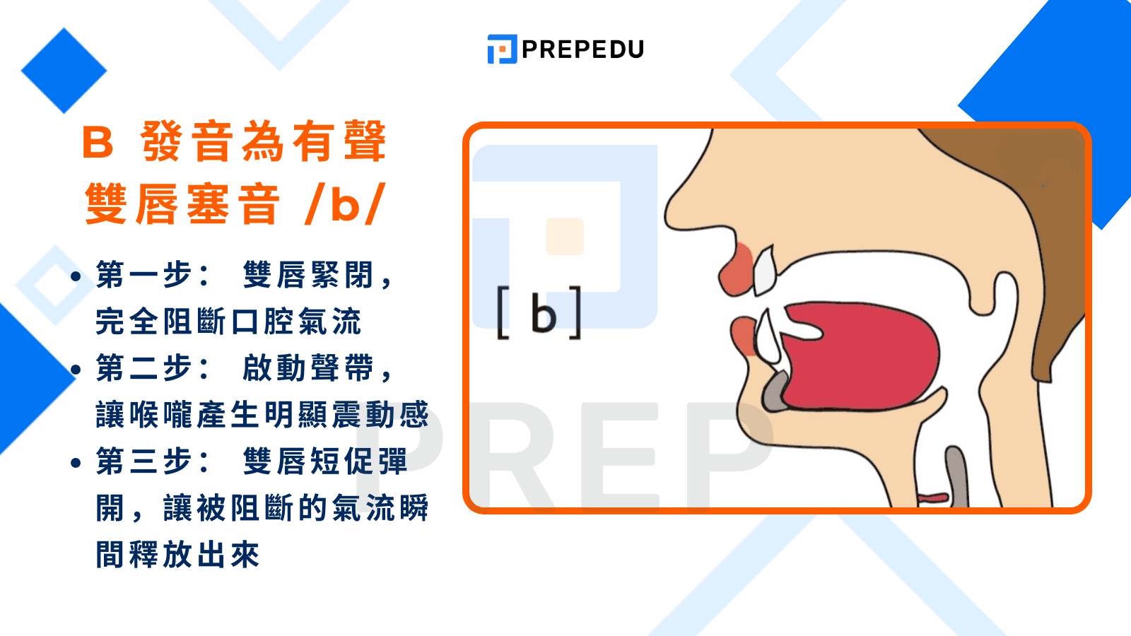 常規 B 發音為有聲雙唇塞音 /b/