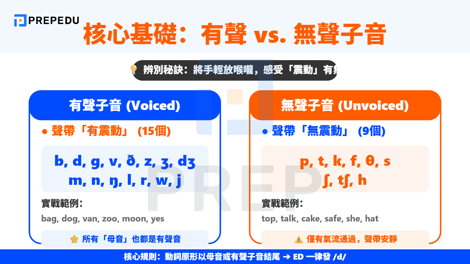 核心基礎：區分「有聲子音」與「無聲子音」