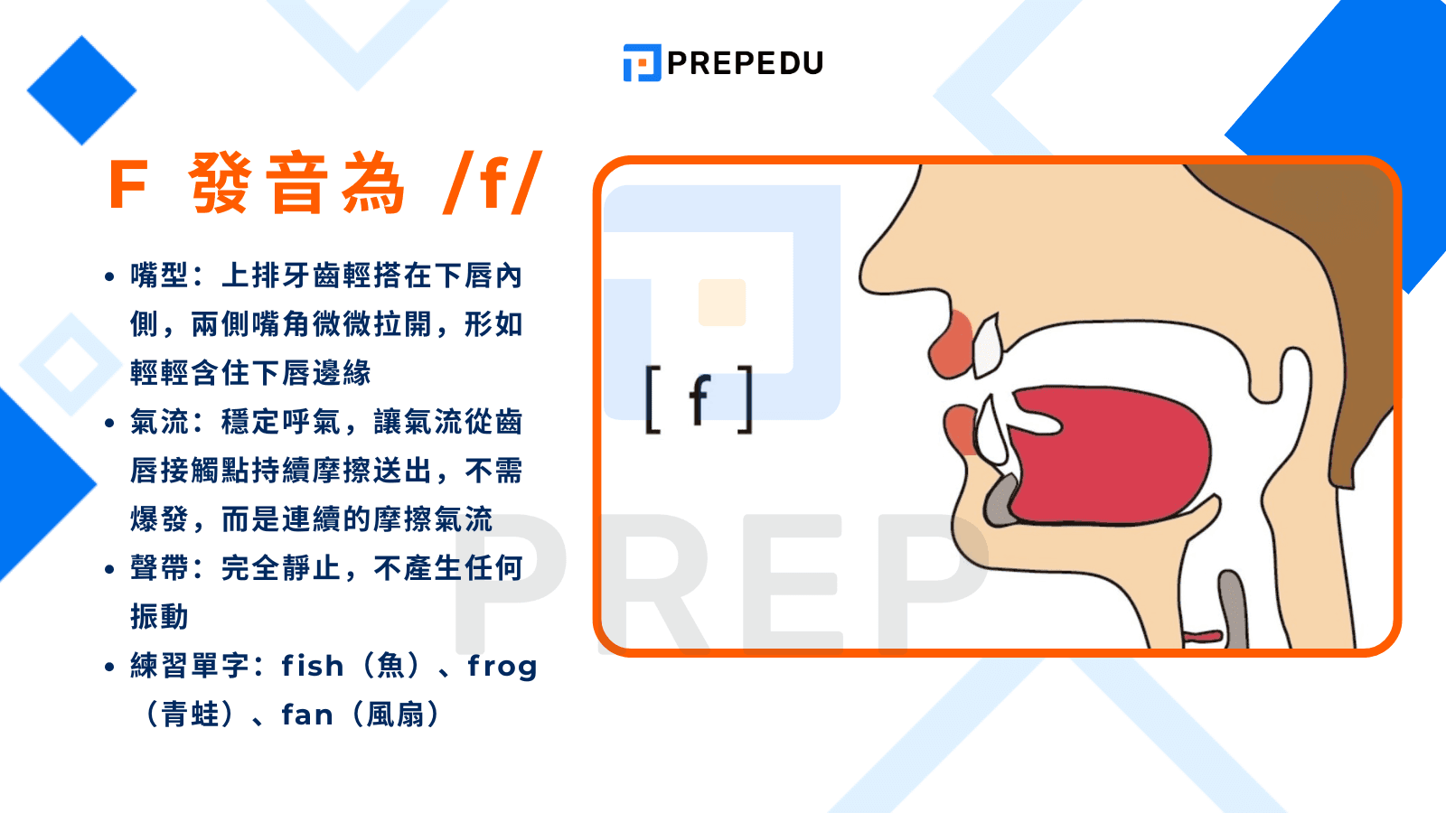 字母 F 簡介：不只是  F 發音，常見的生活含義與縮寫
