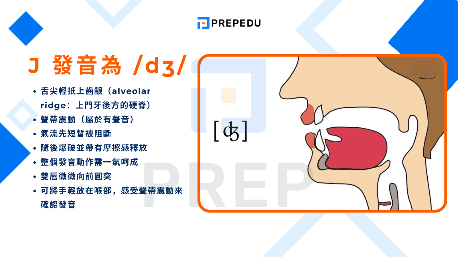 常規 J 自然發音：字母 J 發 /dʒ/