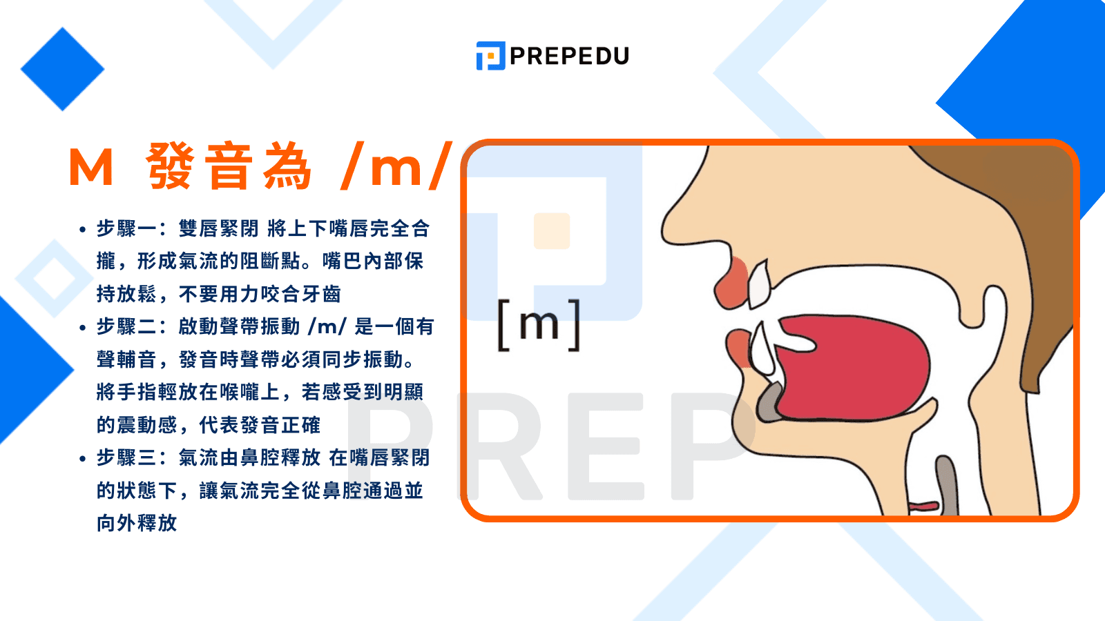 /m/ 音標解析：M 發音物理機制與步驟