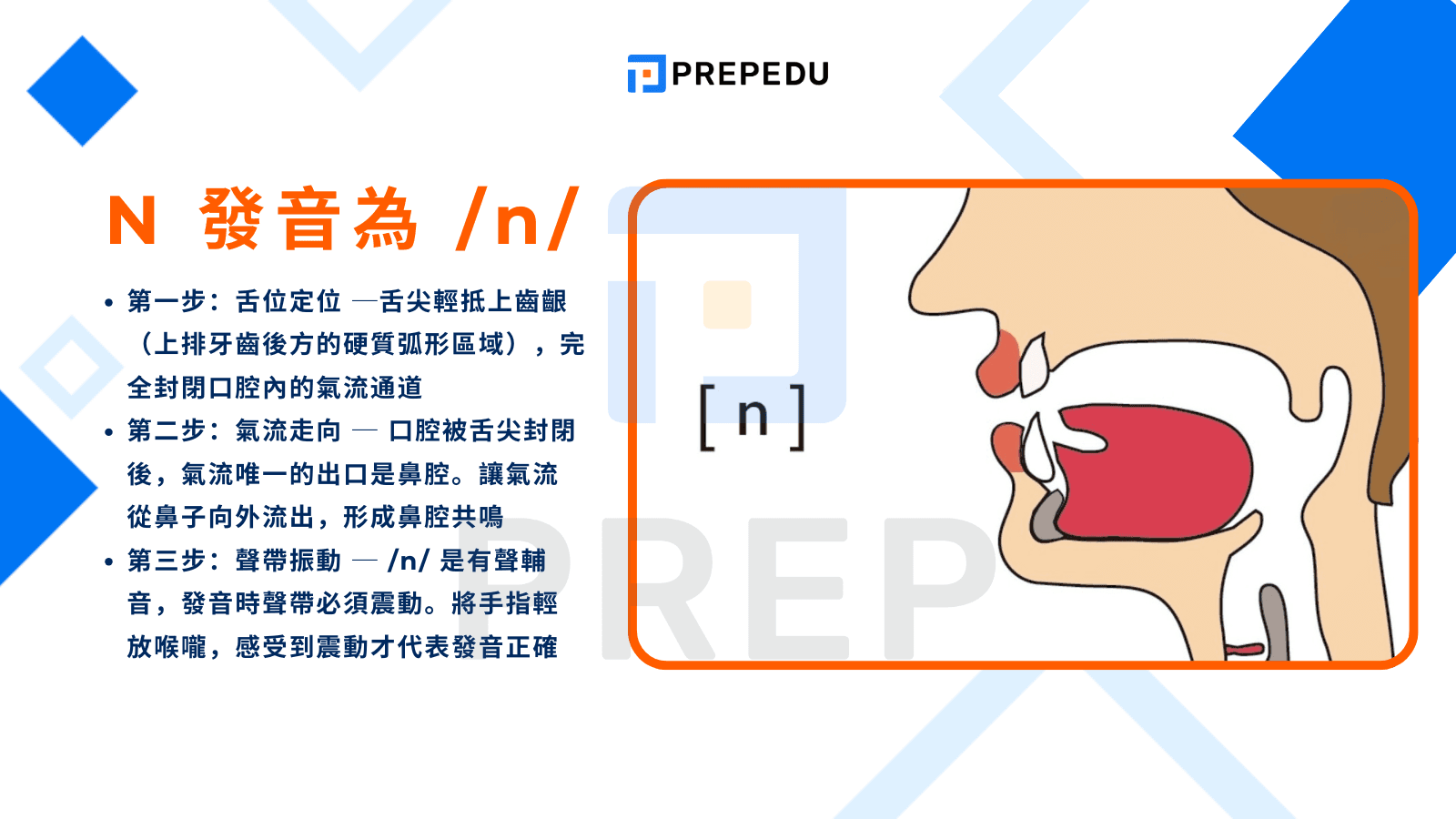 N 的發音嘴型與物理發音機制