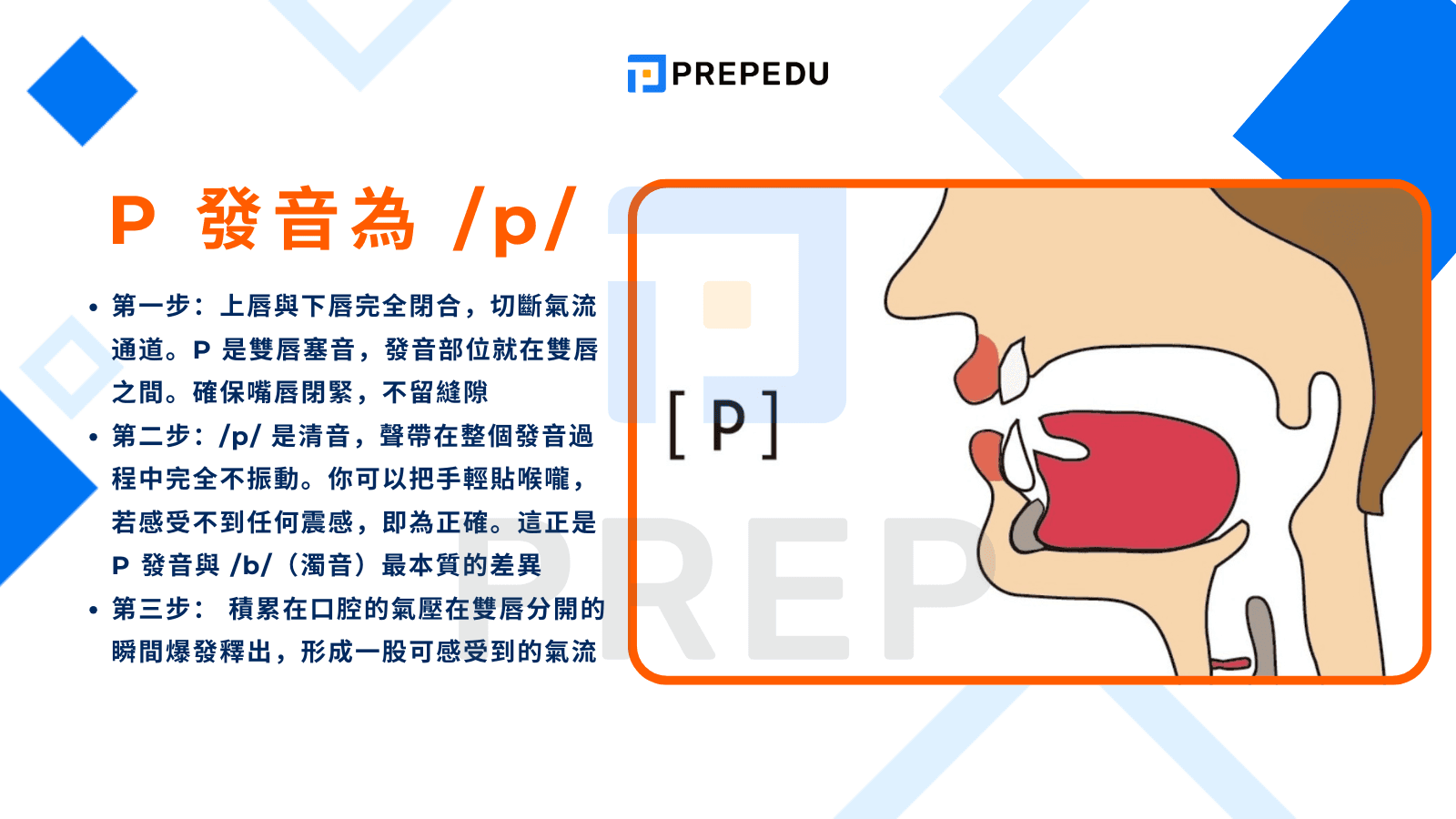 音標 P 發音的物理機制與核心唸法