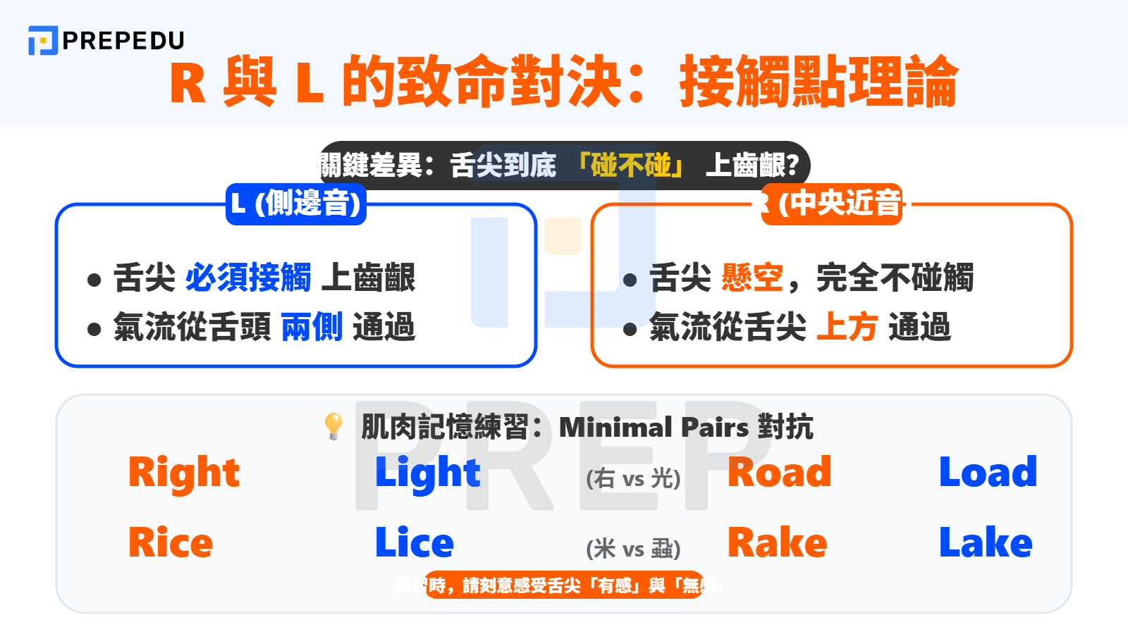 R 與 L 的致命對決：接觸點理論與常見錯誤糾正