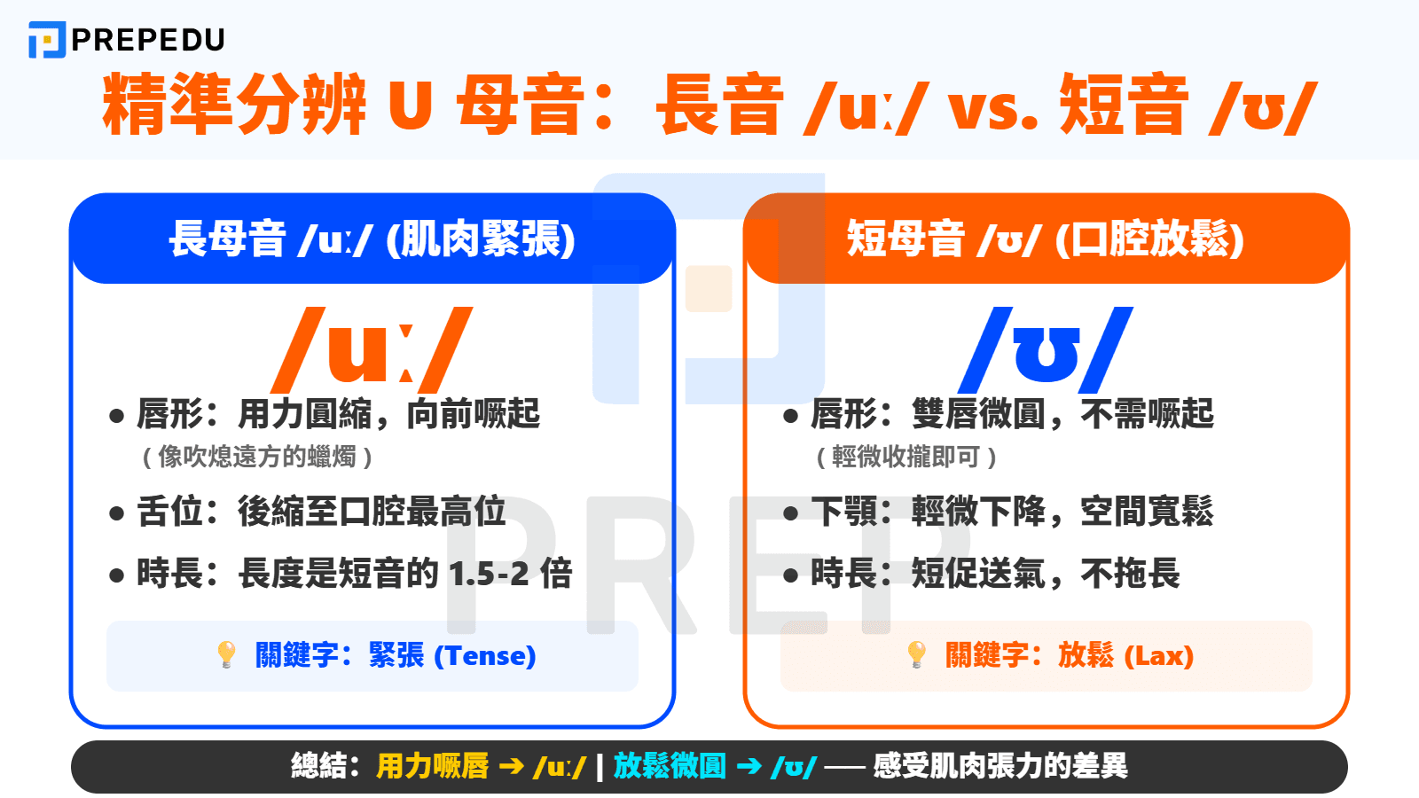 U 母音發音技巧：精準分辨長音 /uː/ 與短音 /ʊ/