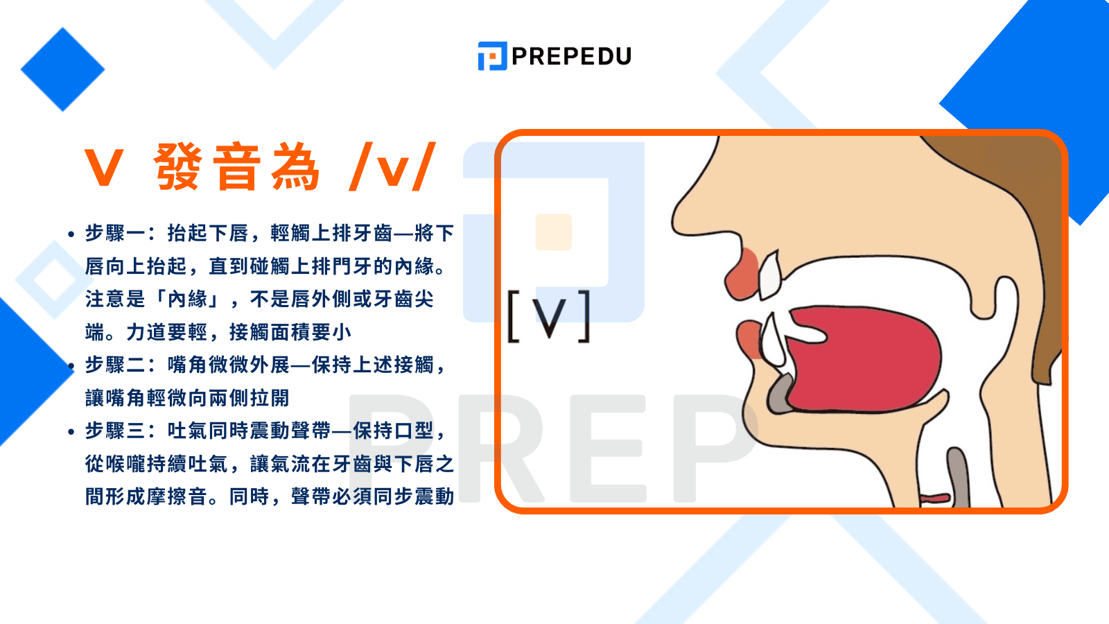 最準確的 V 發音步驟詳解