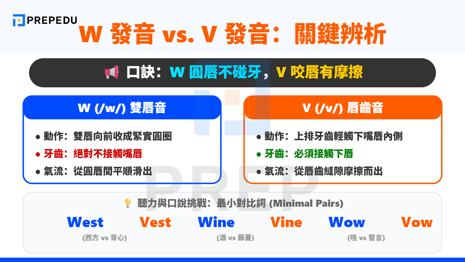 發音糾錯——W 的發音與 V (/v/) 的關鍵差異