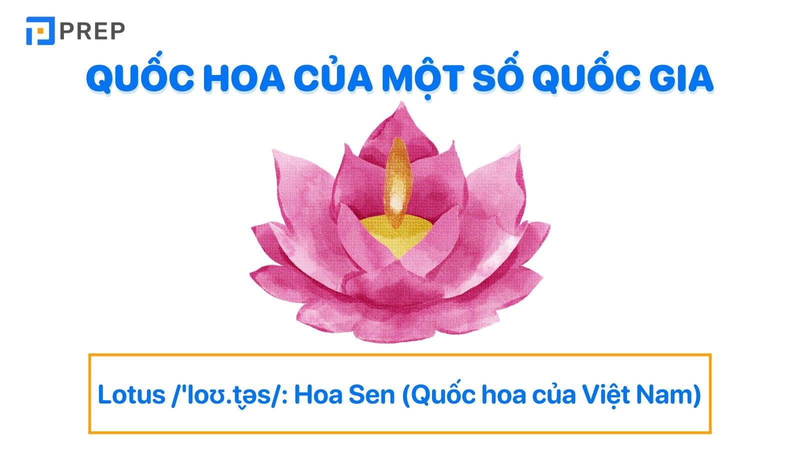 Quốc hoa của một số quốc gia trên thế giới
