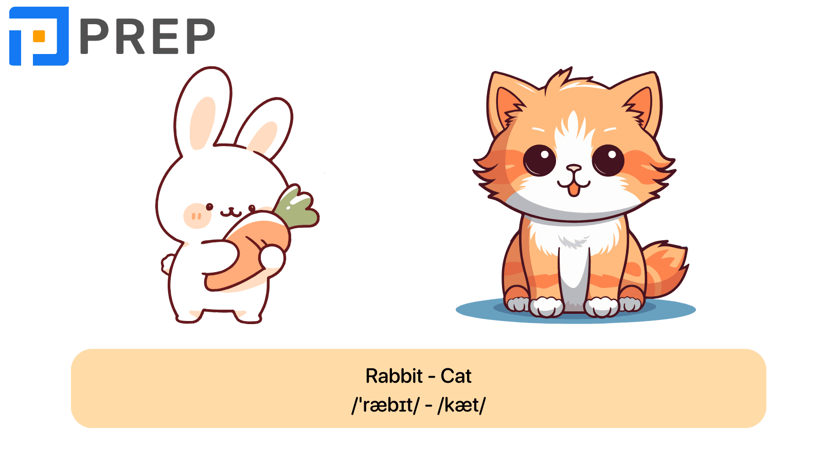 Rabit/ Cat