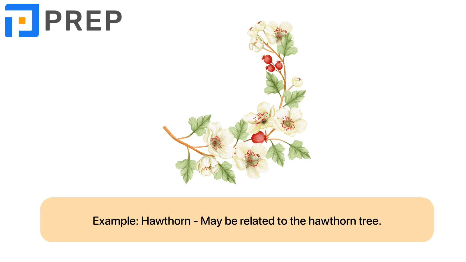 rare-and-unique-english-surnames.png