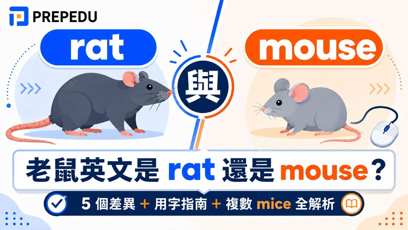 老鼠英文是 rat 還是 mouse？rat/mouse 用法