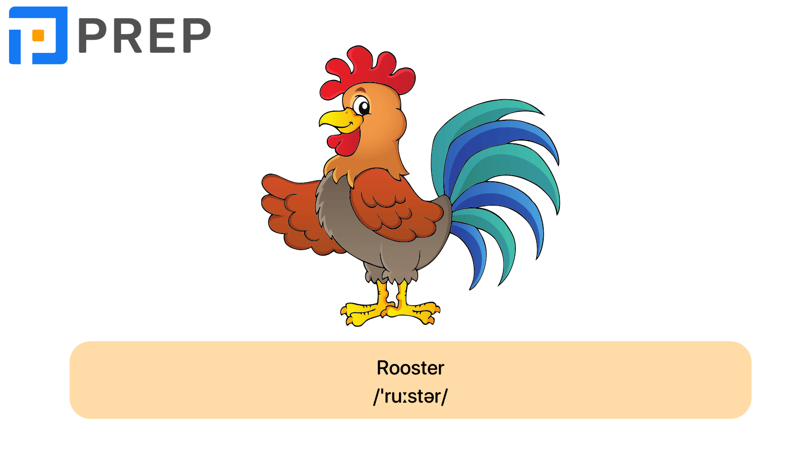 Rooster