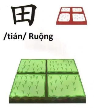 Cách viết chữ 田