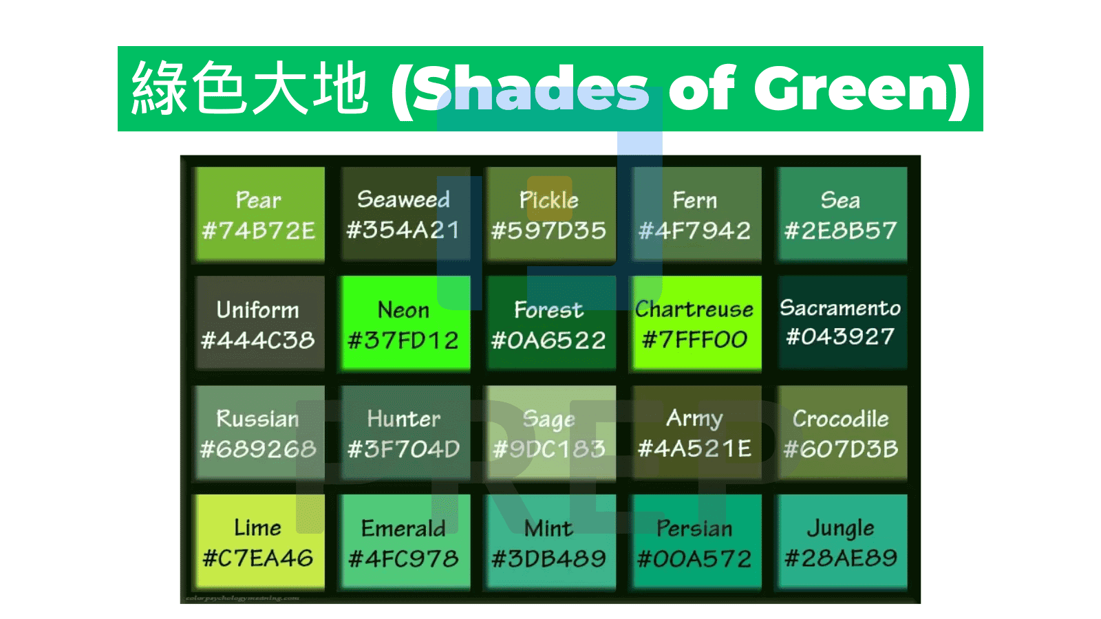 shades-of-green-in-english.png