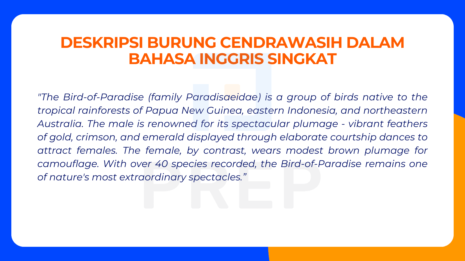 Contoh Deskripsi Burung Cendrawasih dalam Bahasa Inggris Singkat