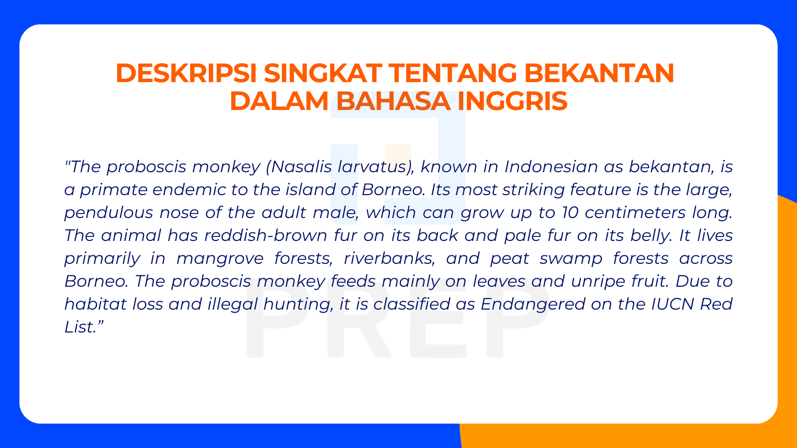 Deskripsi Singkat tentang Bekantan  dalam Bahasa Inggris