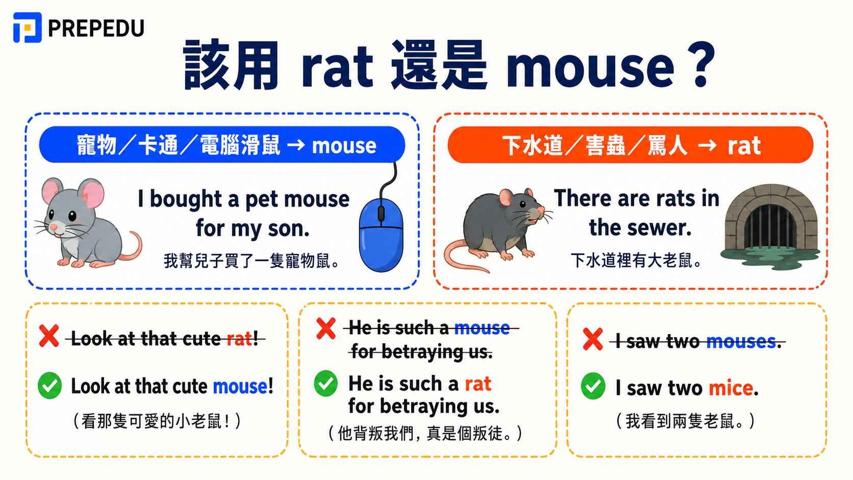 should-you-use-rat-or-mouse.jpg