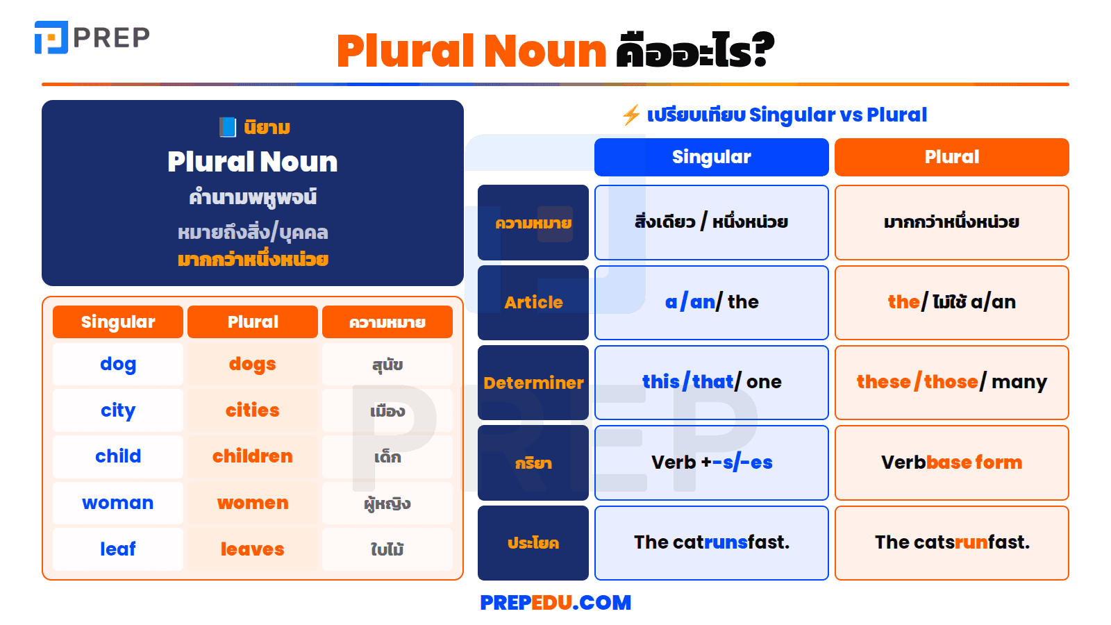 Plural Noun คืออะไร?