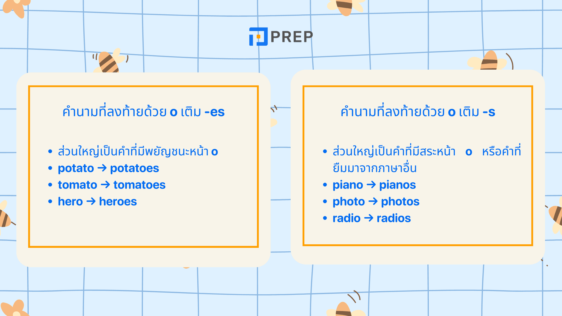 เอกพจน์ พหูพจน์ ภาษาอังกฤษ คืออะไร? สรุปเข้าใจง่ายพร้อมตัวอย่าง