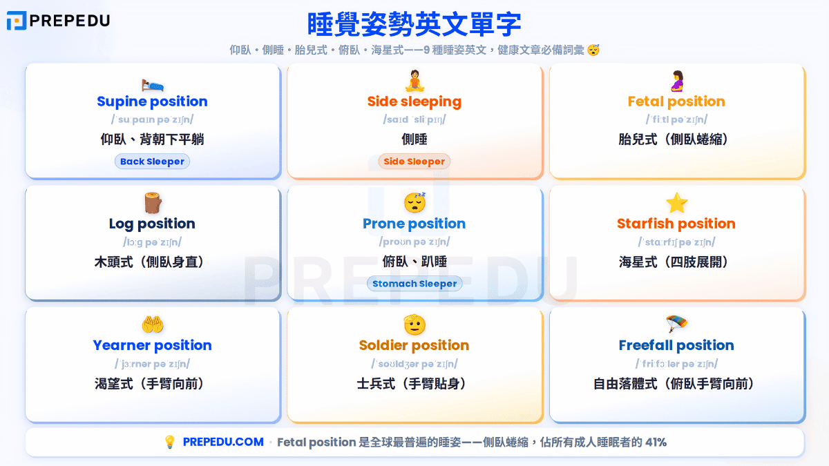 sleep-positions-english-vocabulary.png