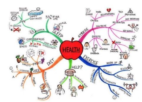 Học từ vựng tiếng Anh qua sơ đồ tư duy - mẫu sơ đồ chủ đề Health
