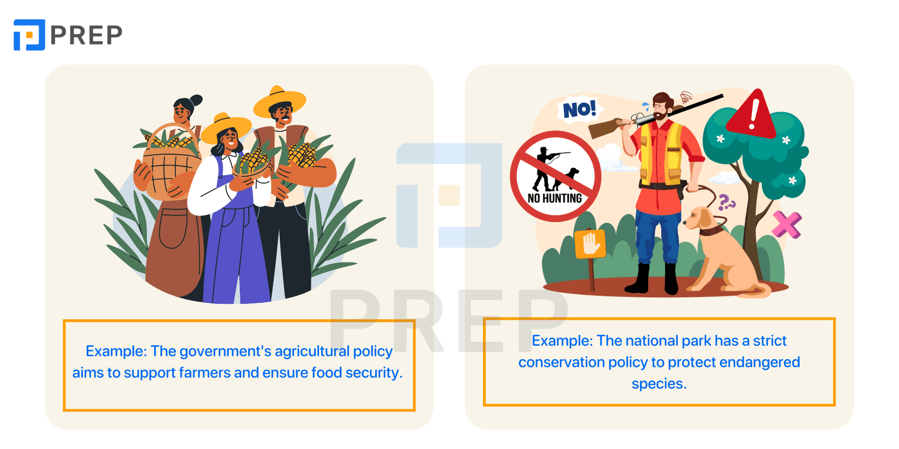 Compilation of common collocations with Policy