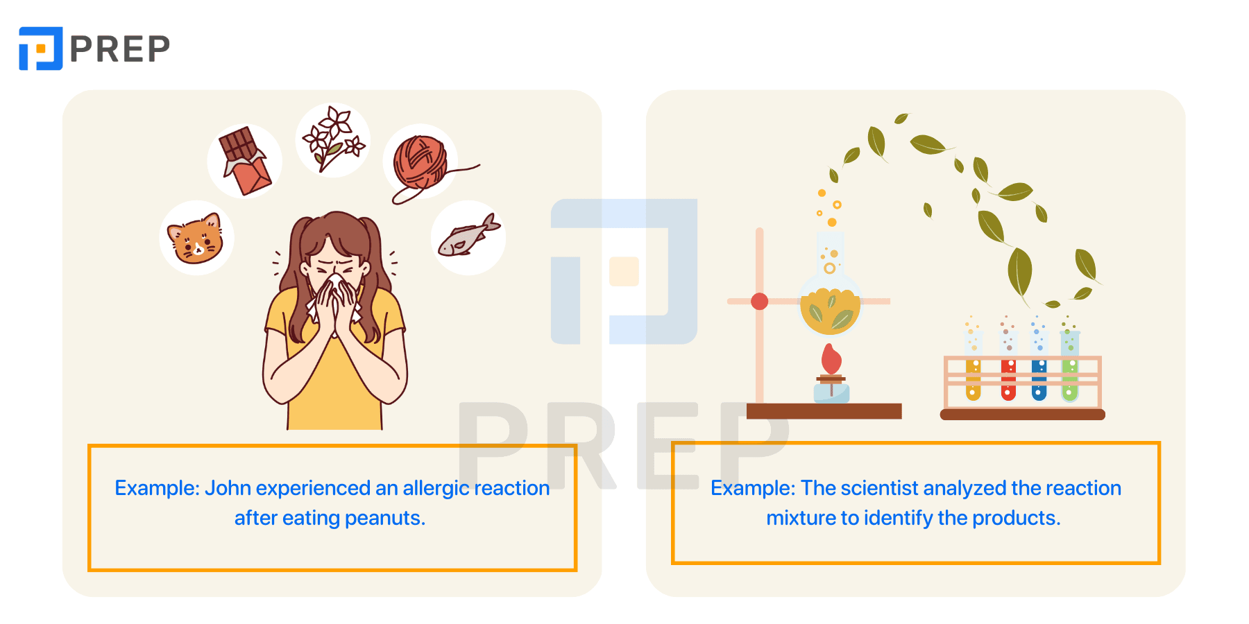 Compilation of common collocations with Reaction