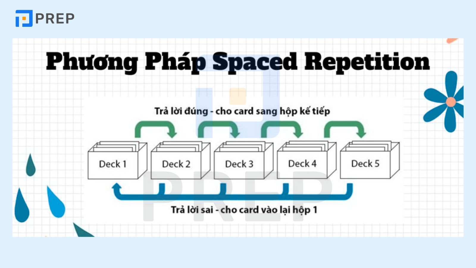 Spaced repetition là gì?