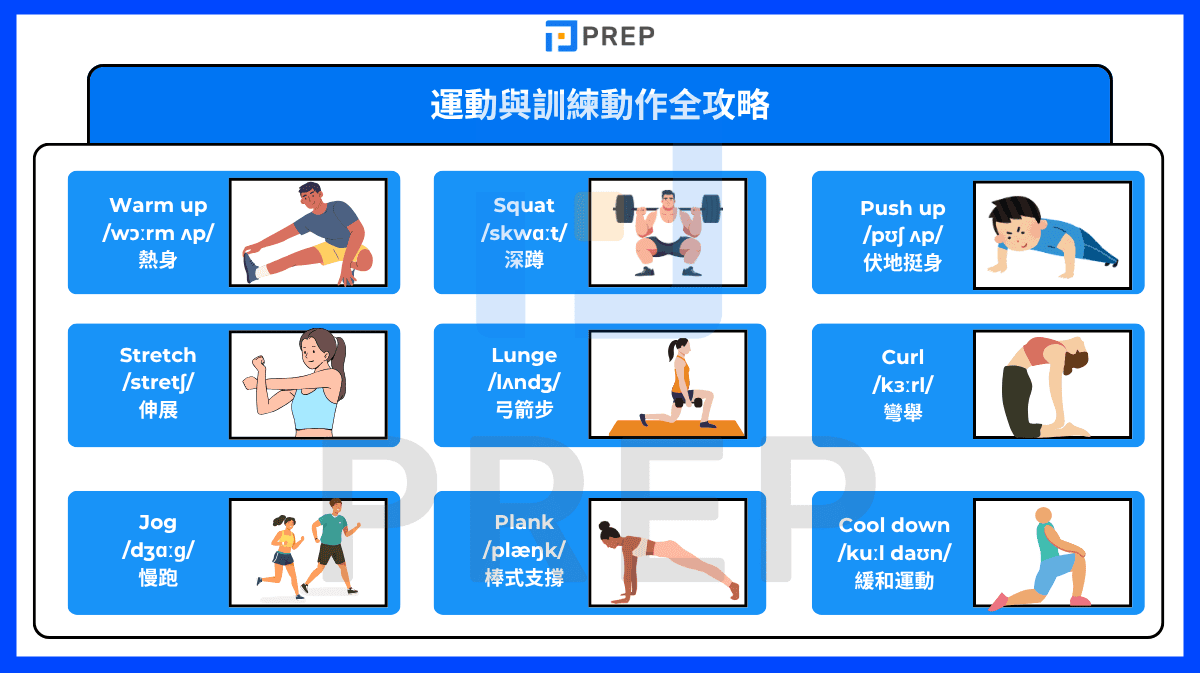 運動與訓練動作全攻略