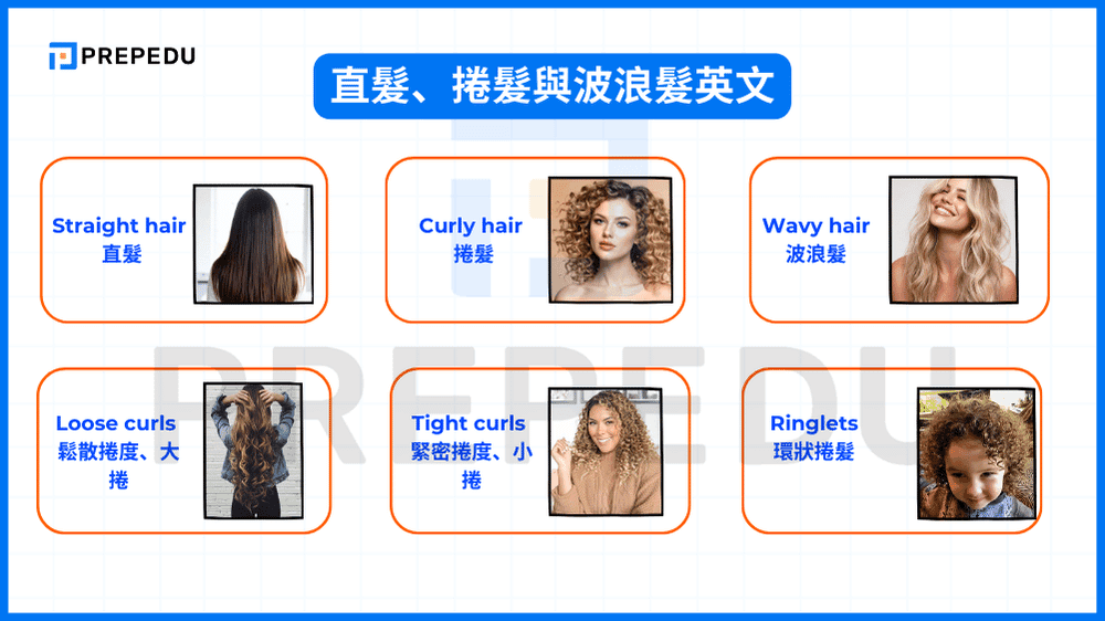 直髮、捲髮與波浪髮英文