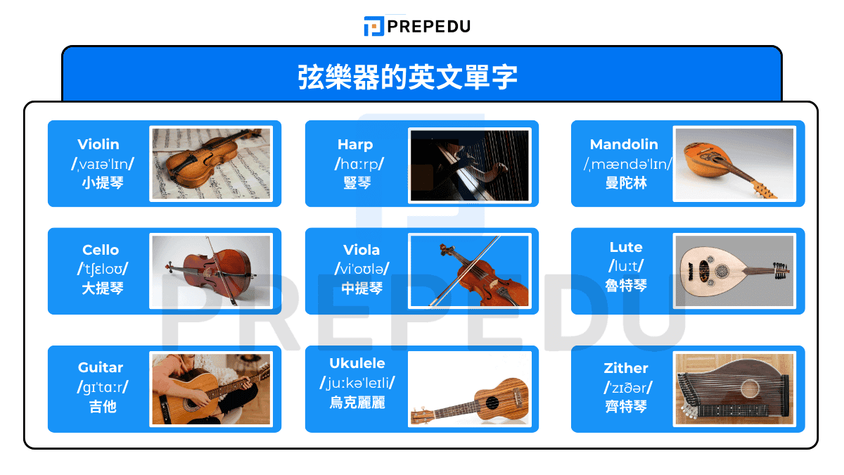 弦樂器的英文單字