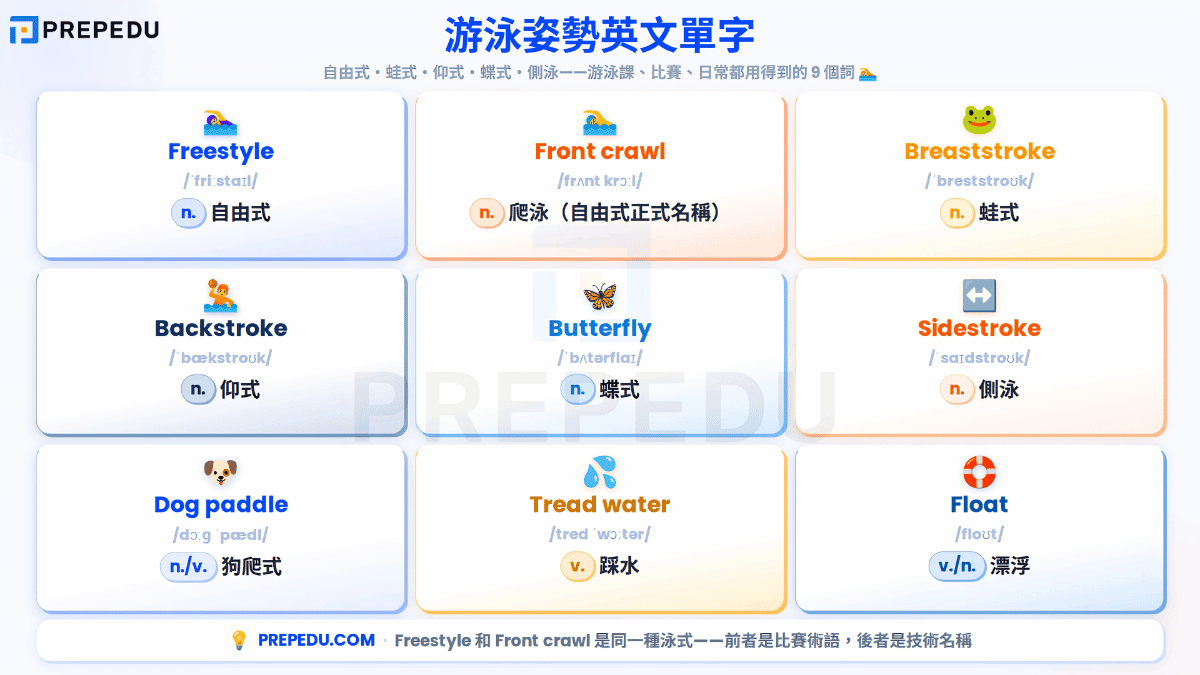 swimming-strokes-english-vocabulary.png