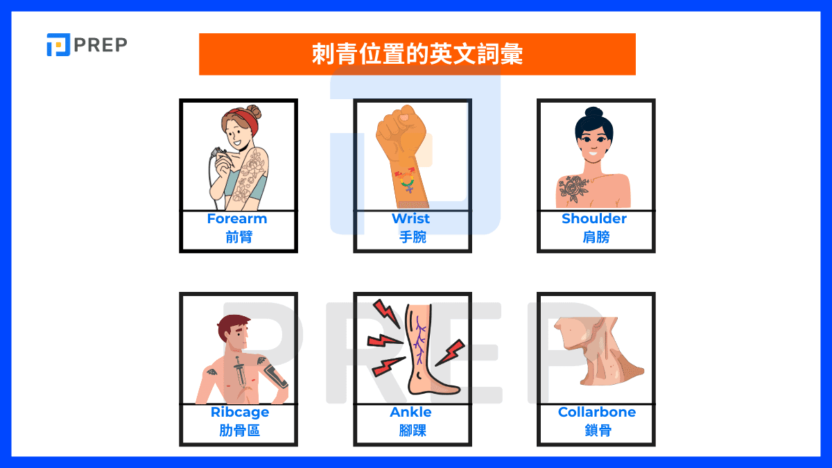 刺青位置的英文詞彙