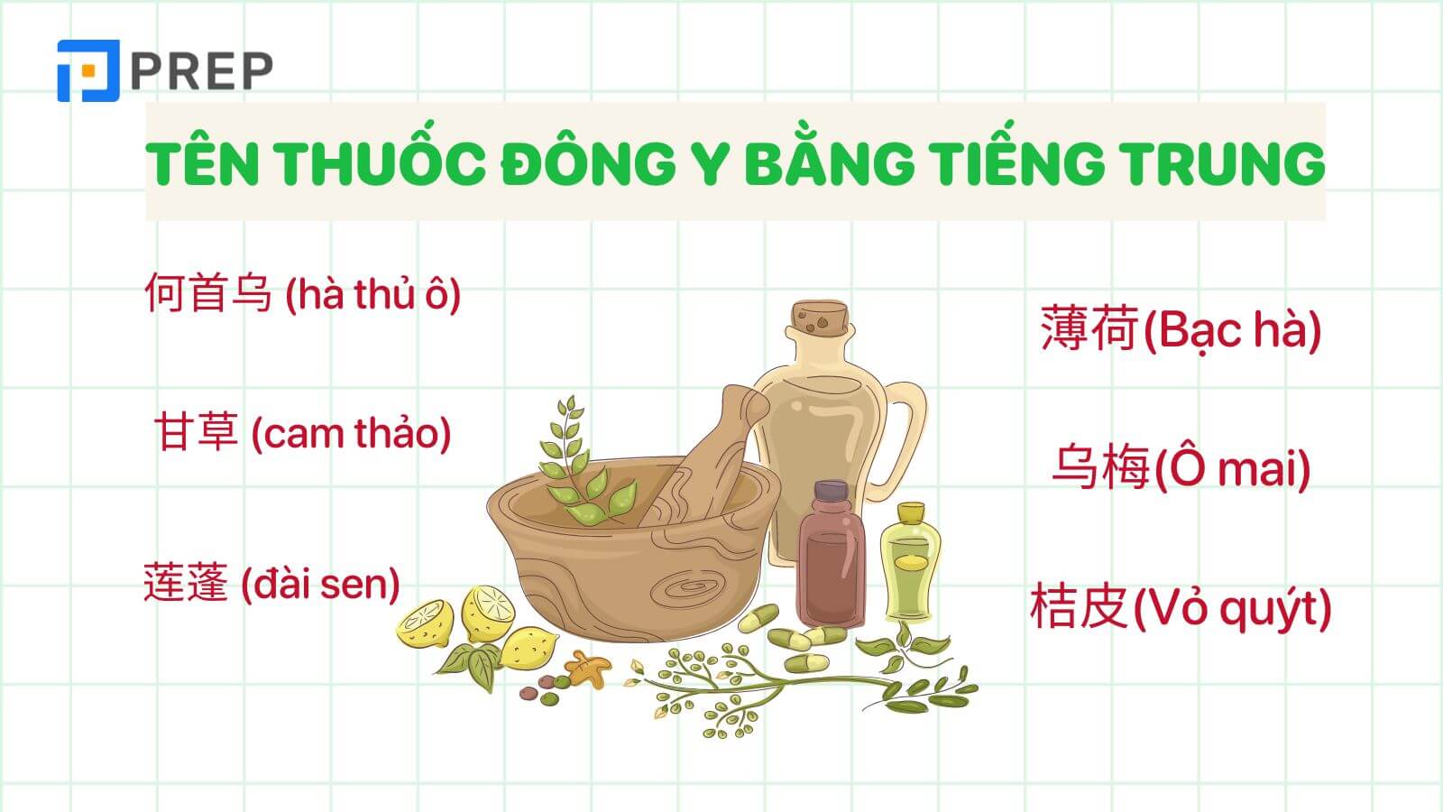 ten-thuoc-dong-y-bang-tieng-trung.jpg