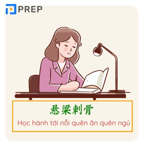 Câu thành ngữ 4 chữ Hán Việt chủ đề học tập