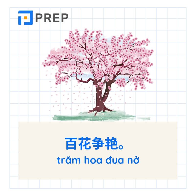Ví dụ thành ngữ tiếng Trung về phong cảnh
