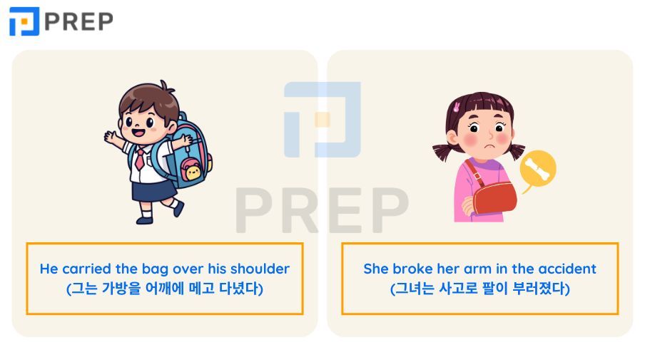 신체 구조와 몸 영어 로 표현하는 상용 단어 100여 개의 심층 학습