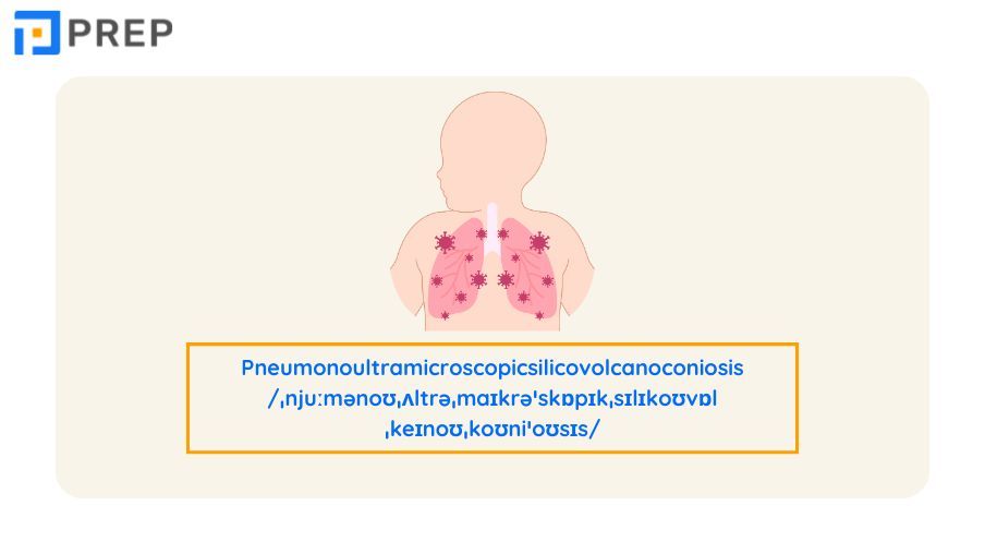 세상에서 가장 긴 영어 단어 Top 5: 45자 공식 1위부터 완벽 정리