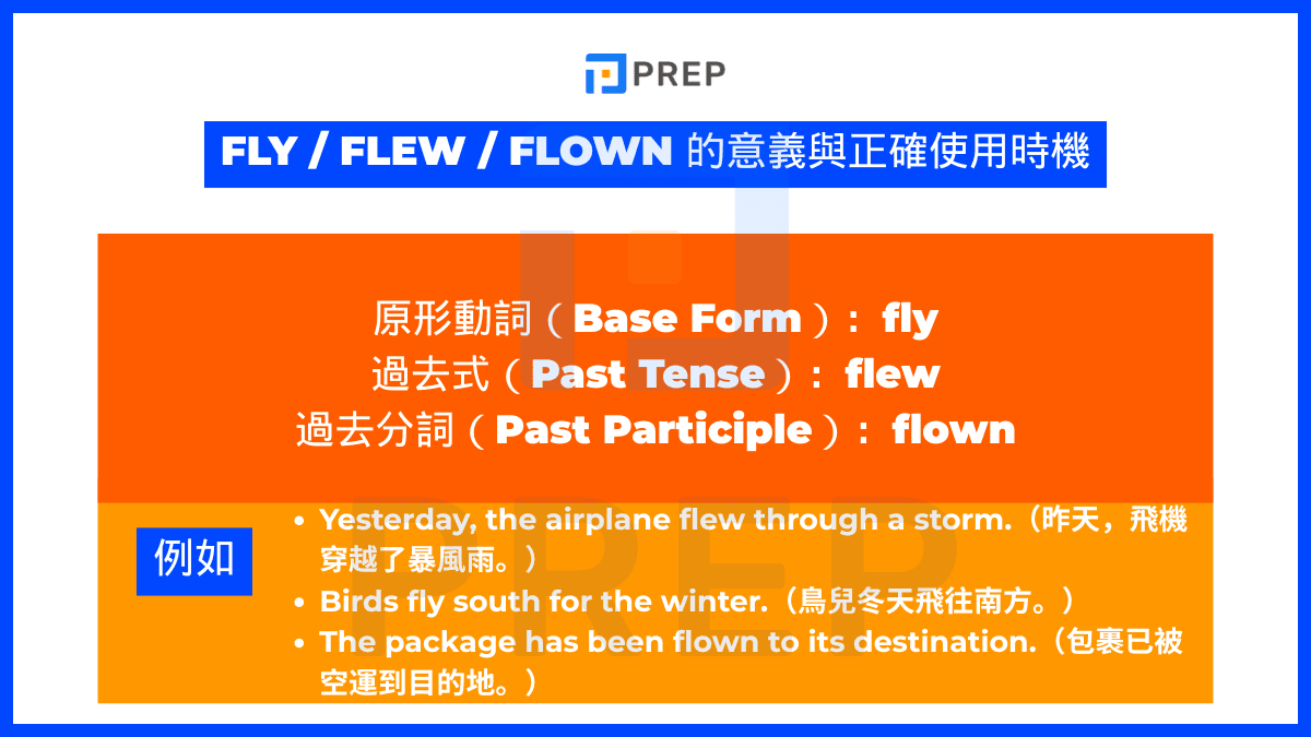 Fly / flew / flown 的意義與正確使用時機