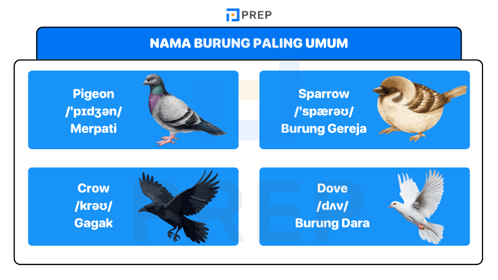 Nama Burung Sehari-hari dalam Bahasa Inggris