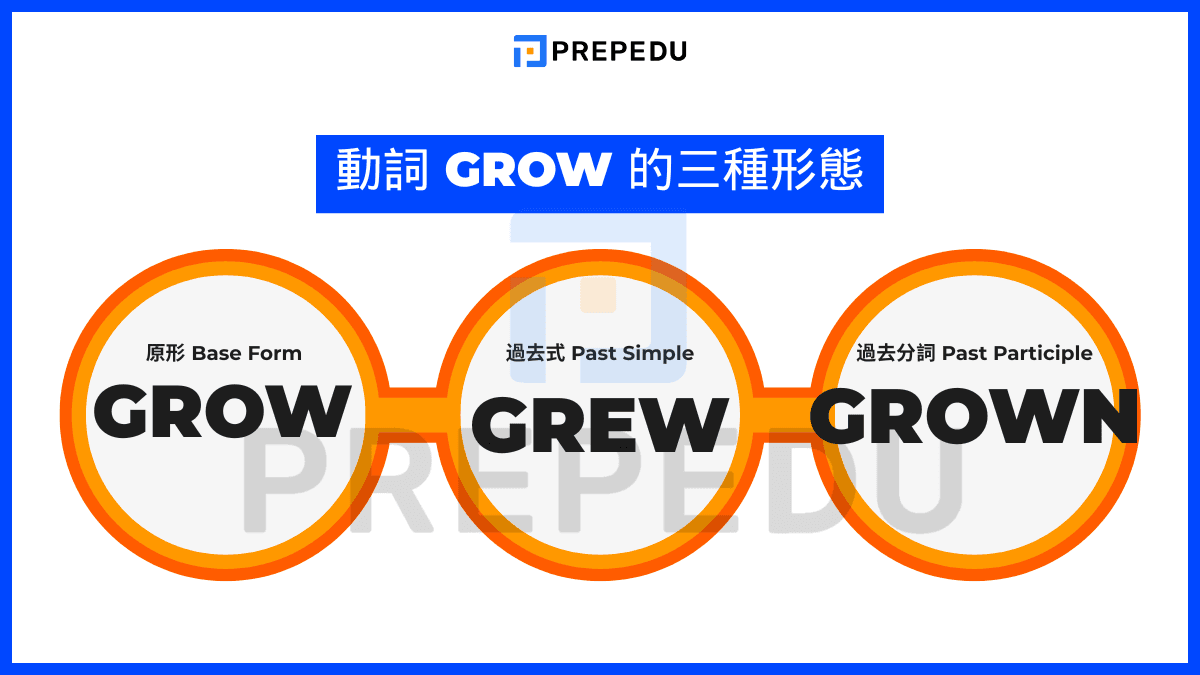 Grow 的三態變化：Grow - Grew - Grown